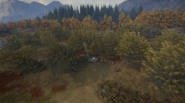 Hache Amérindienne 1