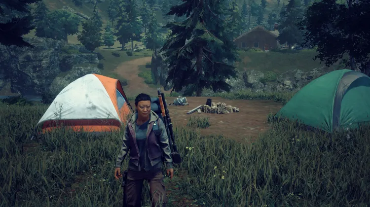 Campsite by the Falls