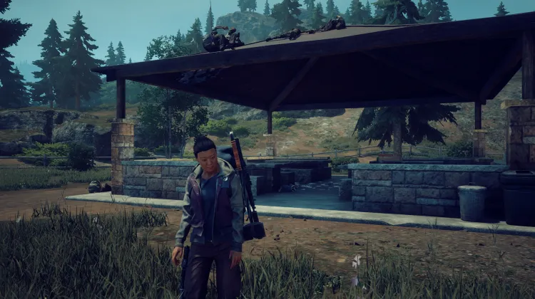 South Picnic Shelter