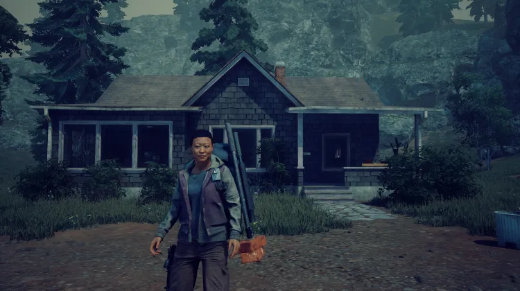 Gray Shake-Sided House