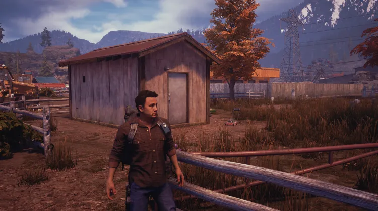 Cabane du cimetière