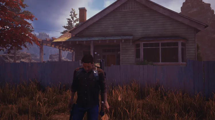 Pilfered Green House