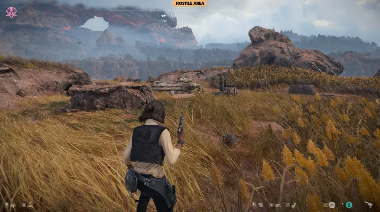 Hostile Camps