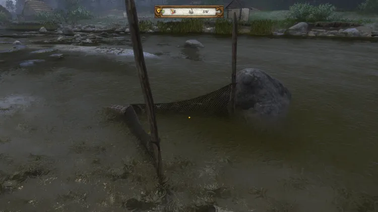 Fish Trap