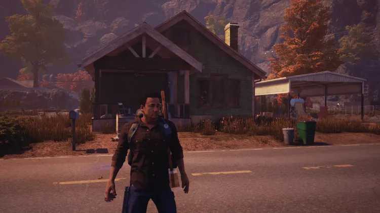 House with the White Chimney