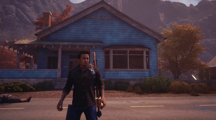 ढेर के पास का घर