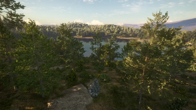 Life Springs Eternal