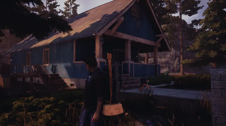 डार्क ब्लू हाउस