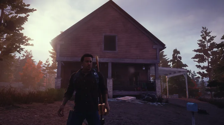 बड़ा गुलाबी घर