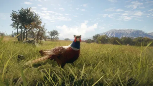 Subcategoria sem título