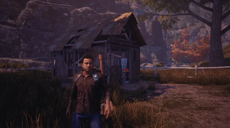 Cabane en Mauvais État