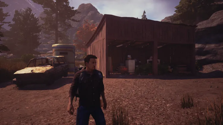 Abri de voiture envahi