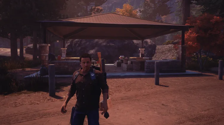 Zone de pique-nique désastreuse