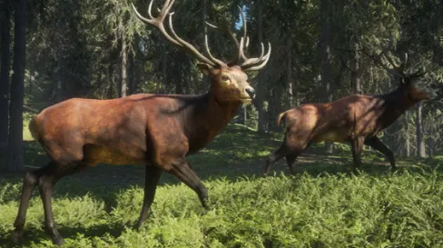 Subcategoria sem título