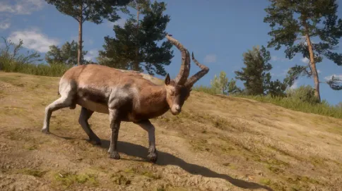 Subcategoria sem título