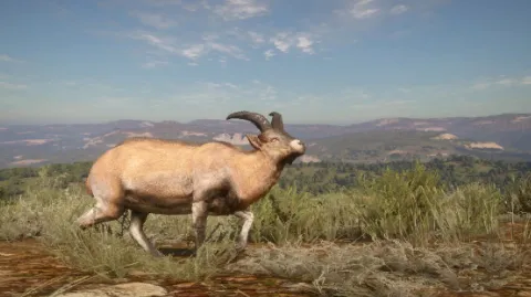 Subcategoria sem título