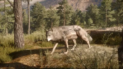 Subcategoria sem título