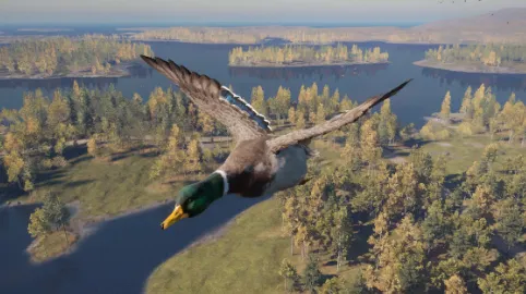 Sous-catégorie sans titre