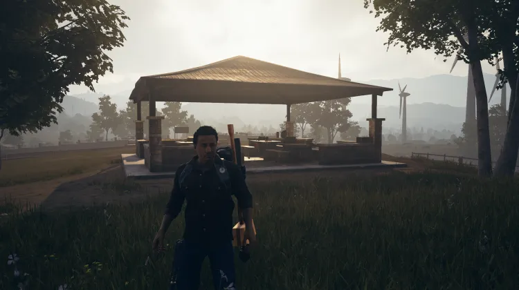 पिकनिक शेल्टर