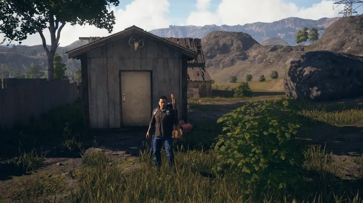 छिलता नीला शेड