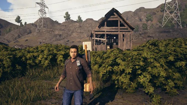 अतिवृद्ध झोपड़ी