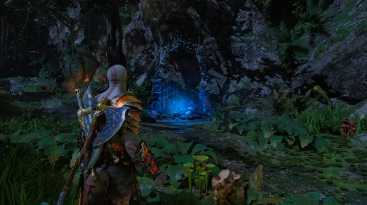 Wejście do Dżungli