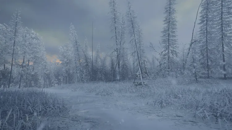 प्यान्य लेस