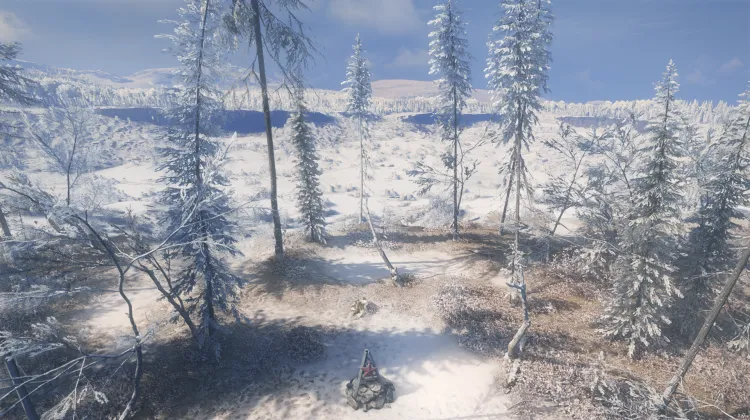 वोरोता वी पॉडज़ेम्नी मिर