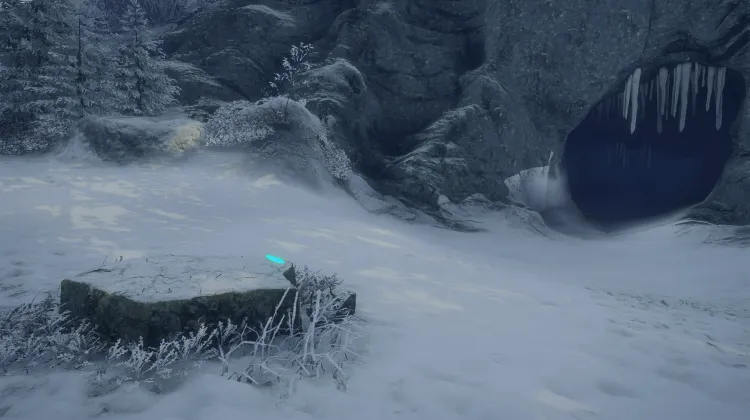 Dente Canino di Leone delle Caverne