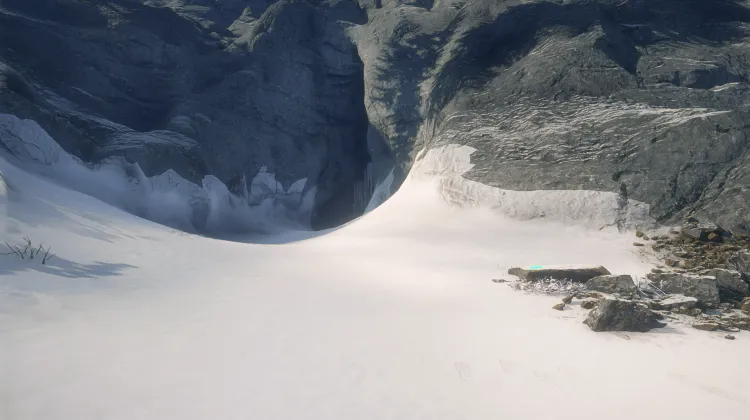 Dente Canino di Leone delle Caverne