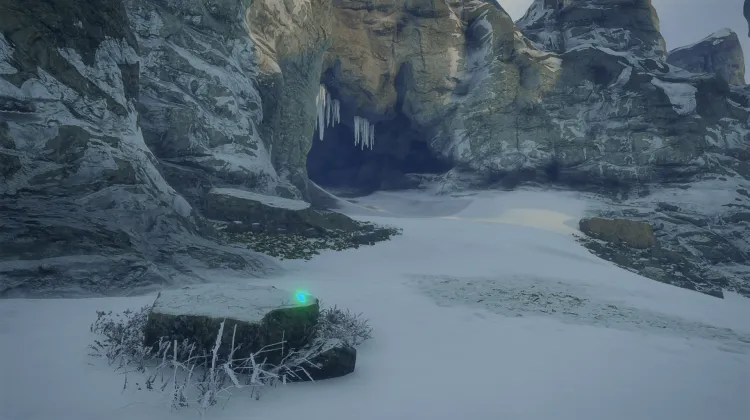 Dente Canino di Leone delle Caverne