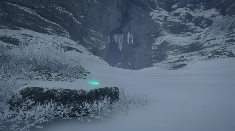 Dente Canino di Leone delle Caverne