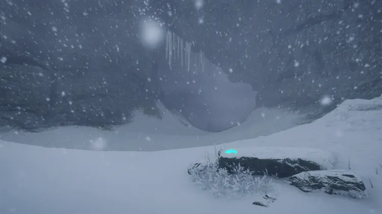 Dente Canino di Leone delle Caverne