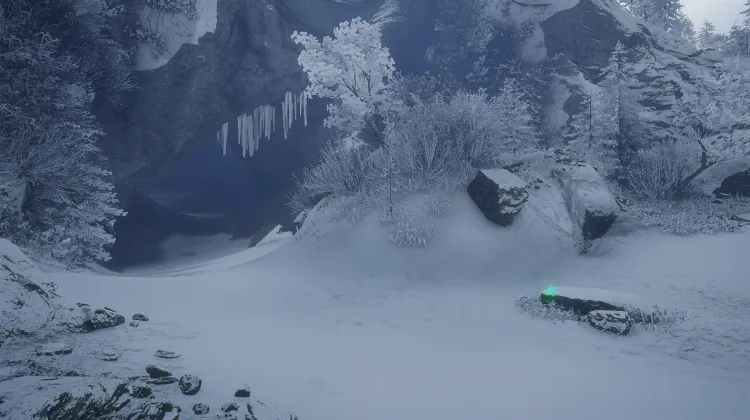 Dente Canino di Leone delle Caverne