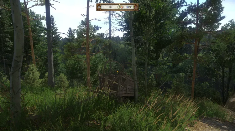 Accident