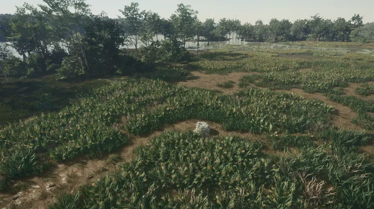 แทบจะลอยอยู่