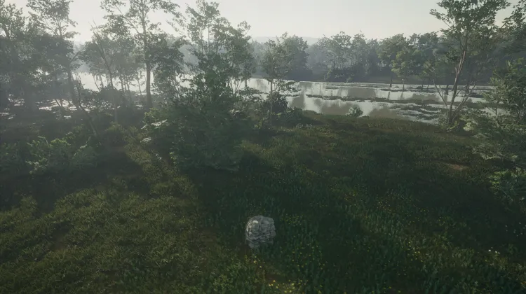 See Ya Later, Alligator