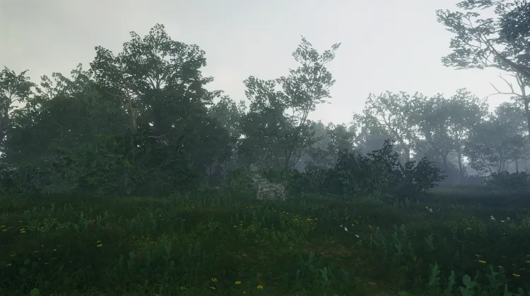 มิส แฟนนี่