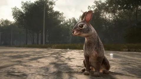 Eastern Cottontail Rabbit