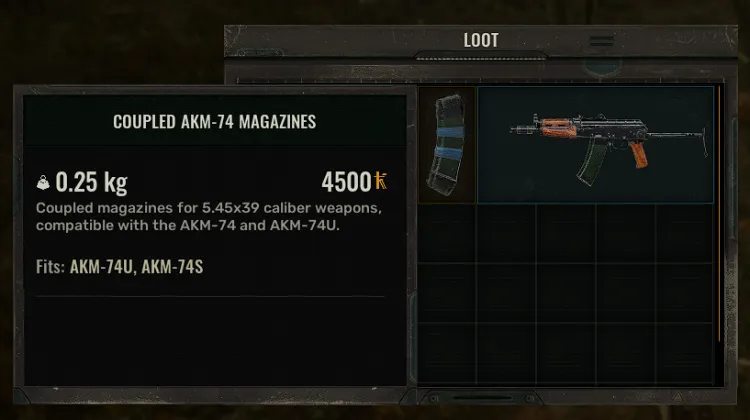 युग्मित AKM-74 मैगज़ीन