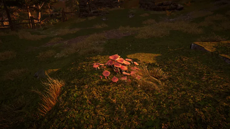 Sous-catégorie sans titre