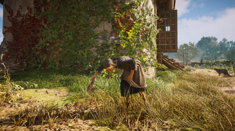 Hausschlüssel der Katzenvilla