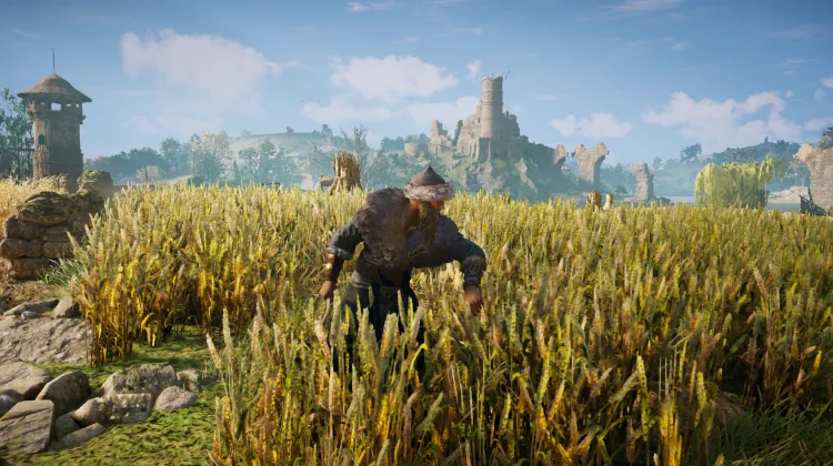 Das Schicksalsbuch der Katzen