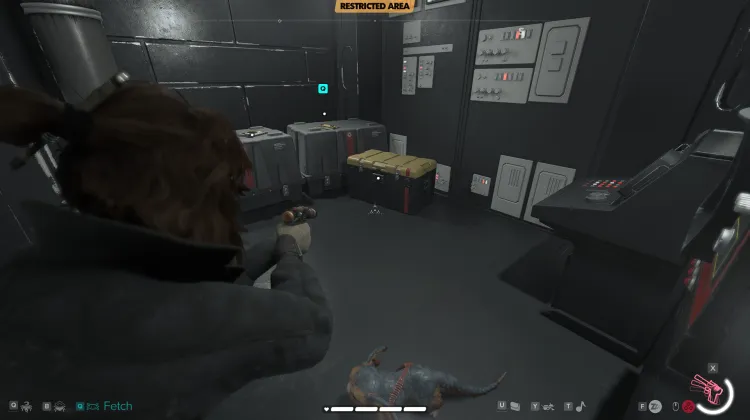 The Scanner Trinket