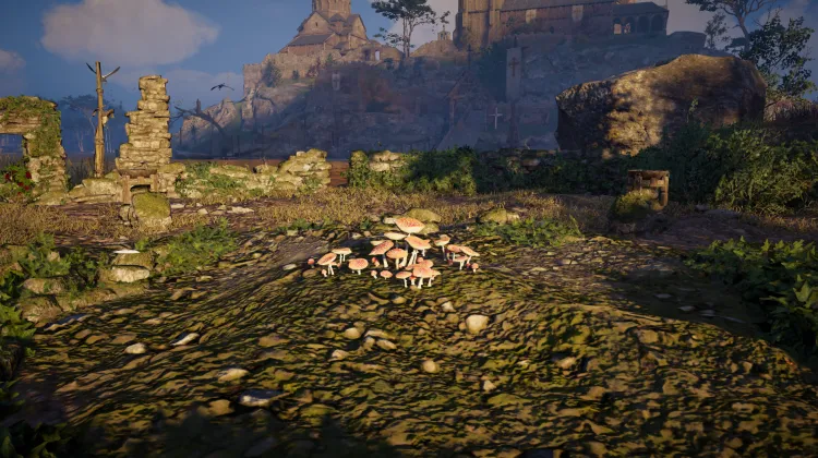 Sous-catégorie sans titre