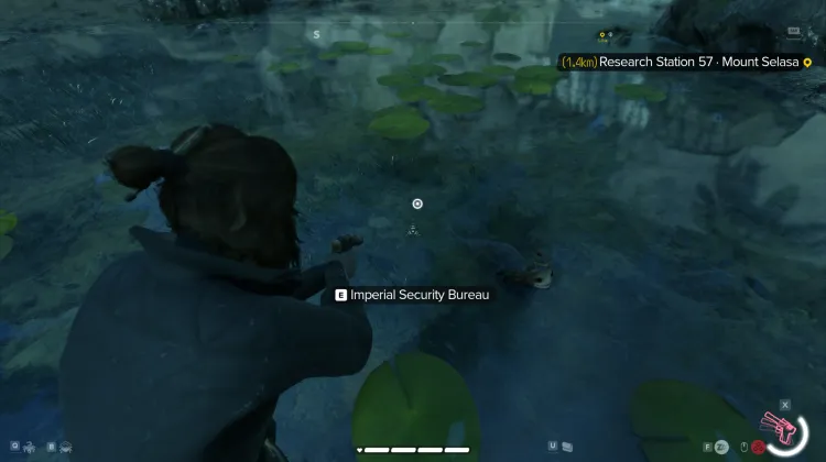 Departamento de Segurança Imperial