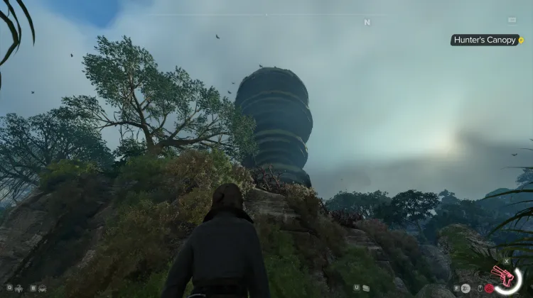 Delma Water Tower