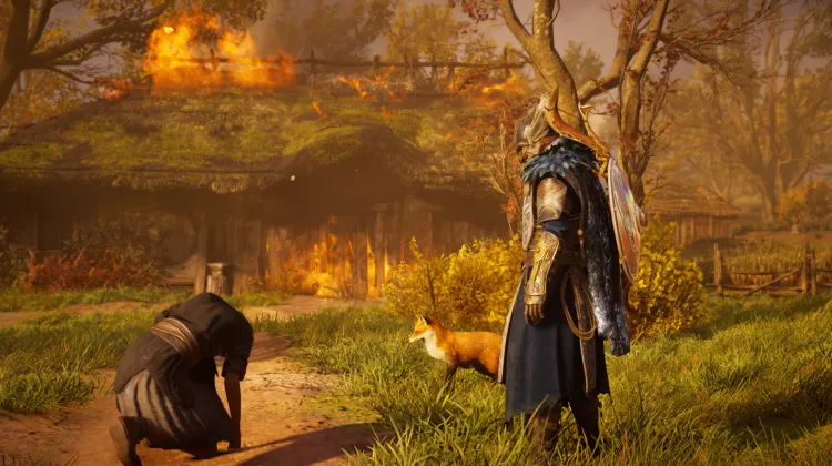 Die Rettung eines Hundes