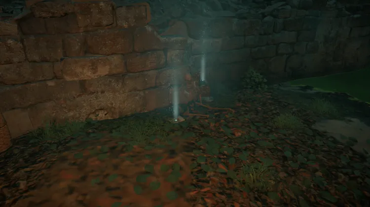 Note Couverte de Mousse