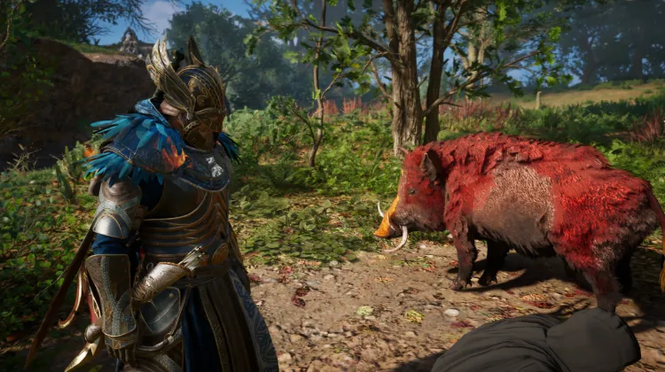 Der Eber mit der goldenen Nase